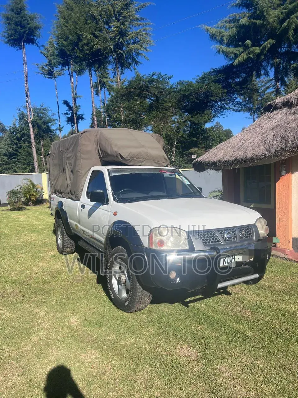 Nissan Hardbody 2016 White