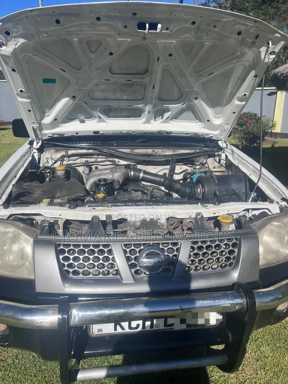 Nissan Hardbody 2016 White