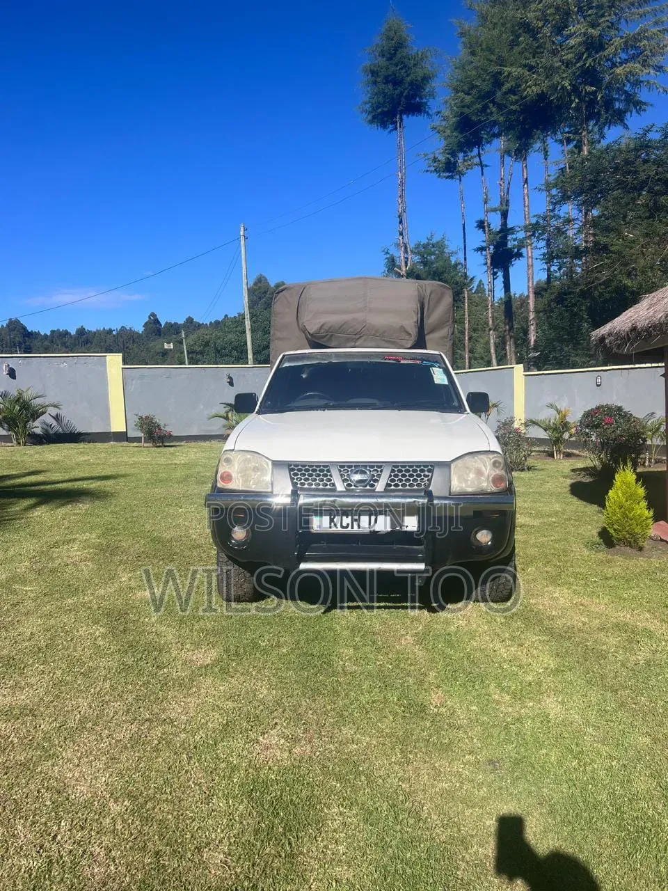 Nissan Hardbody 2016 White