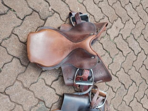 Horses Riding Equipment - thumbnail 18