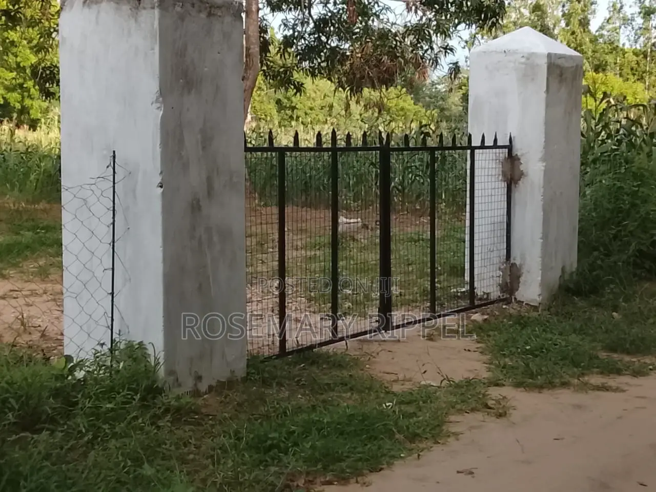 3bdrm House in Vanessa Farmhouse, Gede for rent