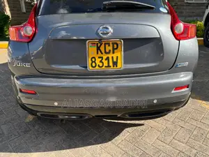 Nissan Juke 2011 Silver