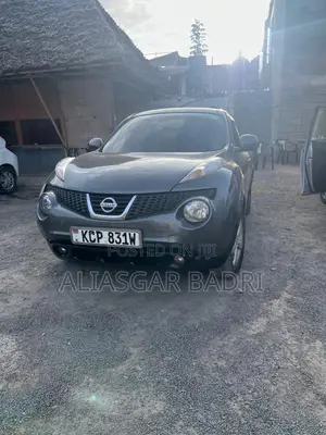 Nissan Juke 2011 Silver