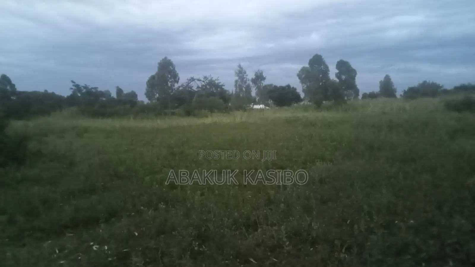 Prime Land in Homa-Bay for Sale