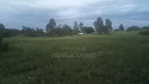 Prime Land in Homa-Bay for Sale