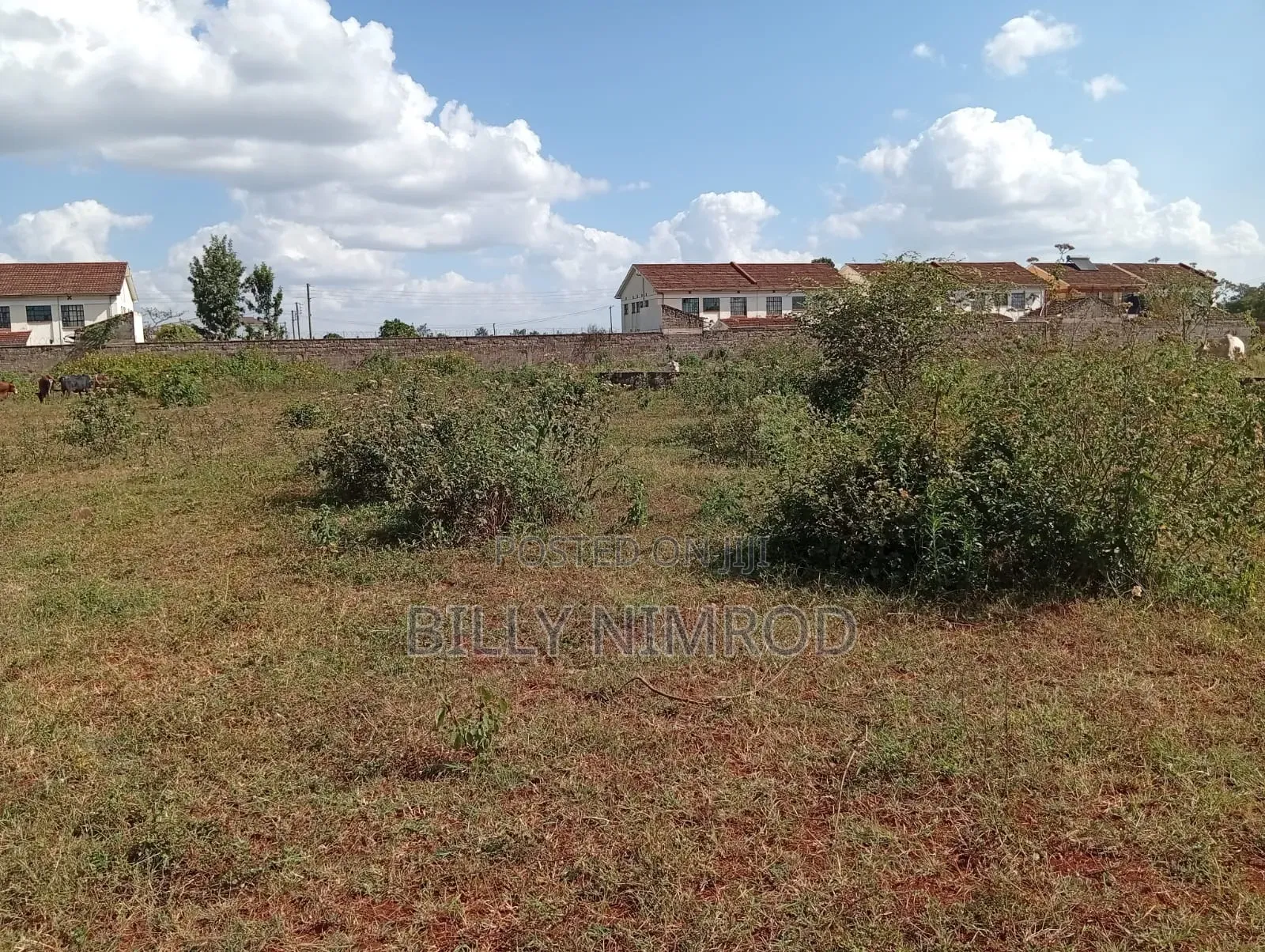 Thika ( 1.5 Acre)