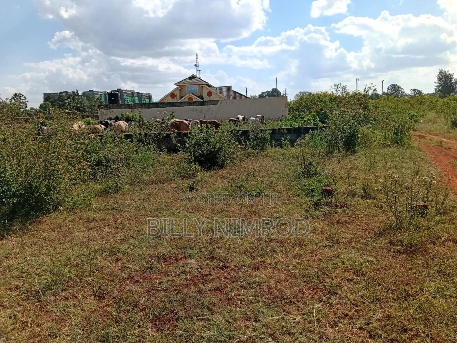Thika ( 1.5 Acre)