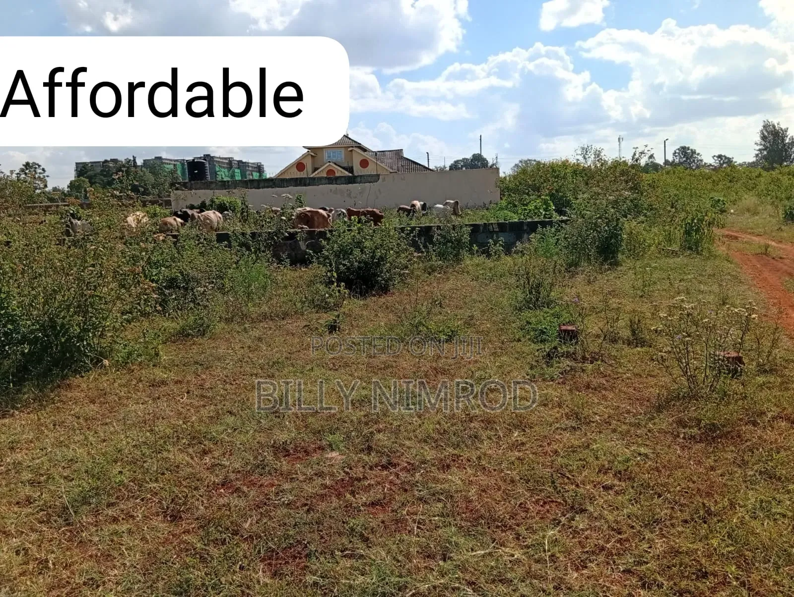 Thika ( 1.5 Acre)