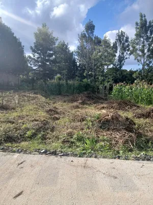 1/4 Acre Plot in Kerarapon Drive for Sale Subdivided Into 50 by 100