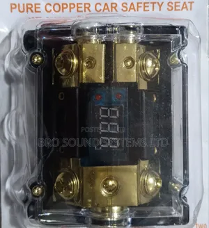 2 Output Anl Amplifier Fuse With Led Display 100a X 2
