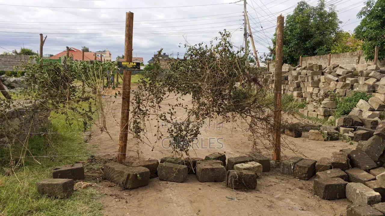 Prime Plot in Mwihoko
