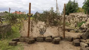 Prime Plot in Mwihoko
