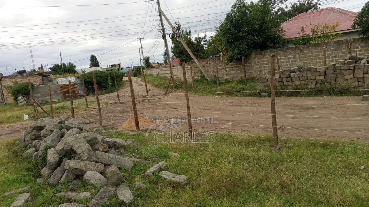 Prime Plot in Mwihoko