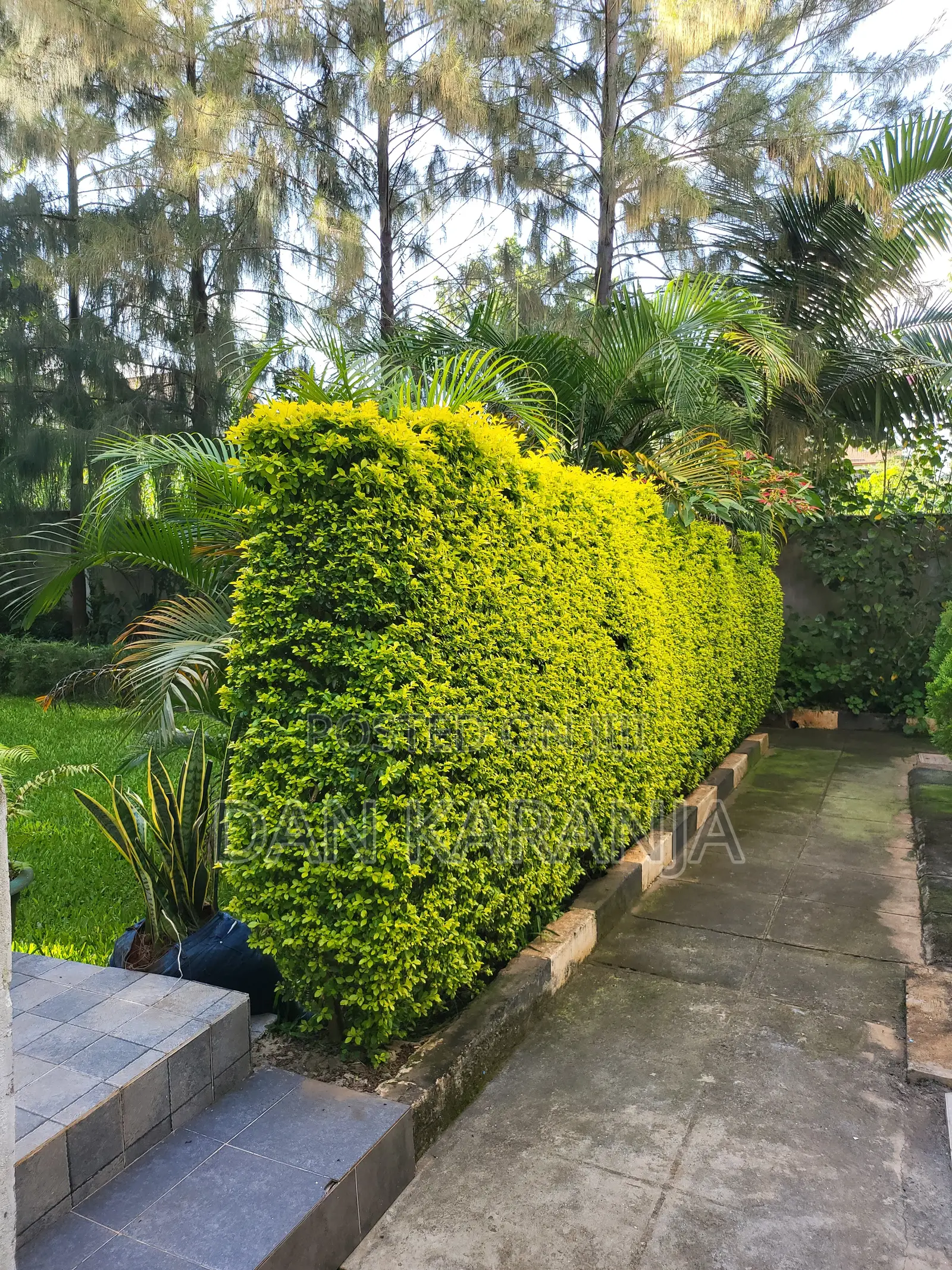 Luxe Studio Airbnb Kiambu Rd