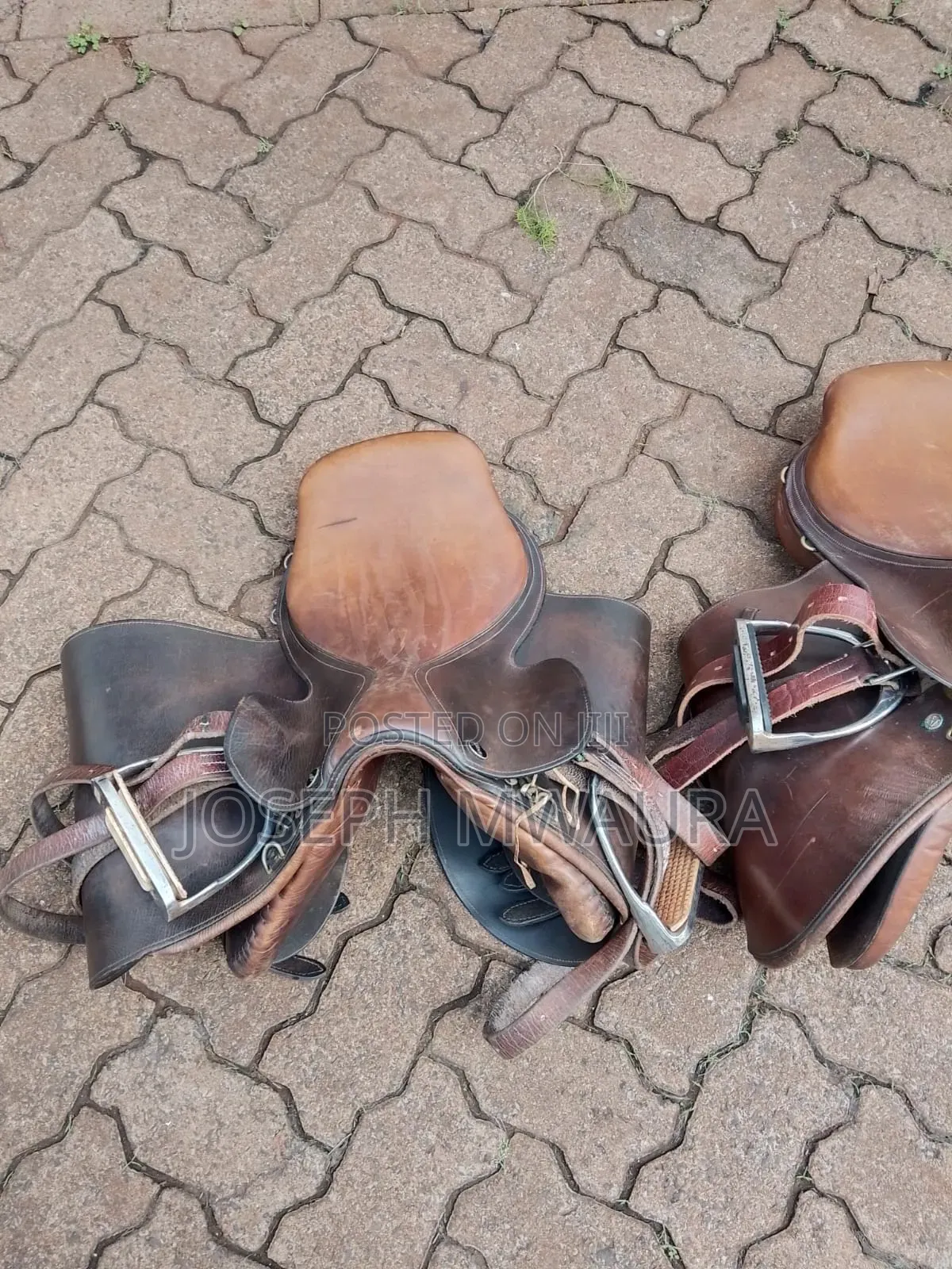 Horses Riding Equipment