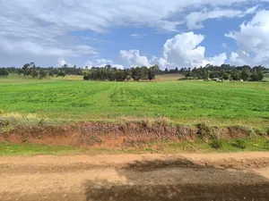 Prime Land for Sale