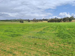 Prime Land for Sale