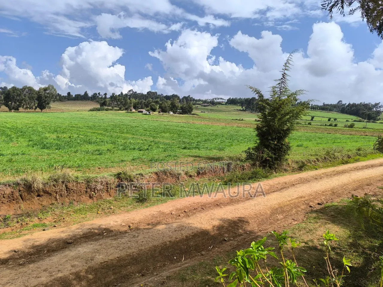 Prime Land for Sale