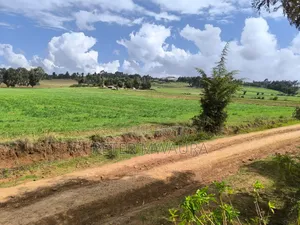 Prime Land for Sale