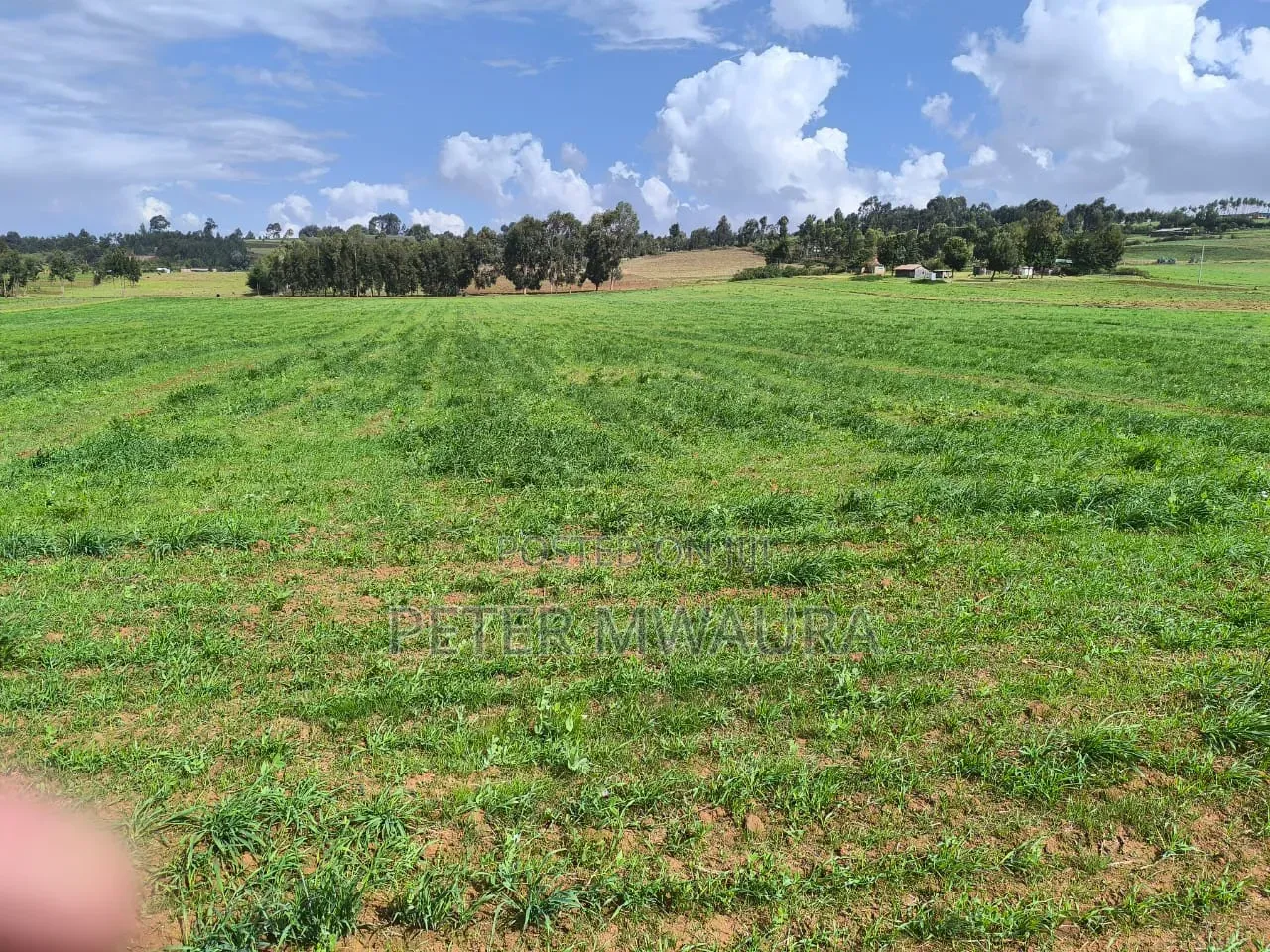 Prime Land for Sale