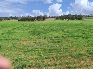 Prime Land for Sale