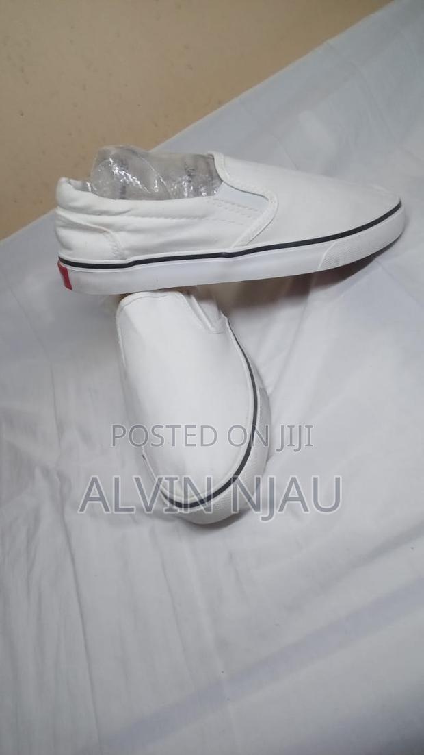 Alvin's Rubbers - thumbnail 8