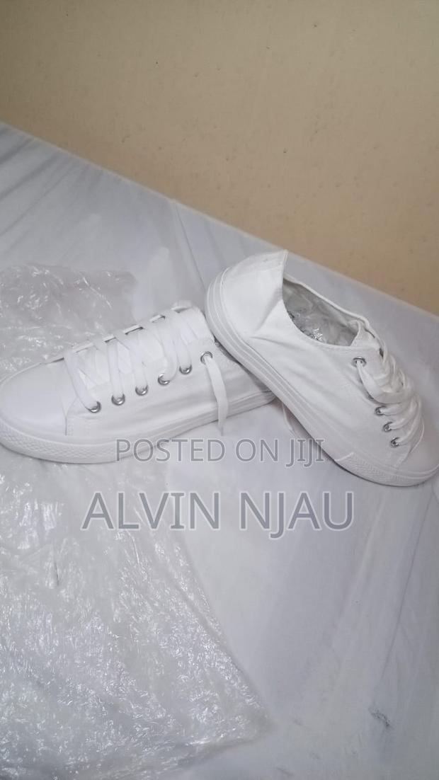 Alvin's Rubbers - thumbnail 6