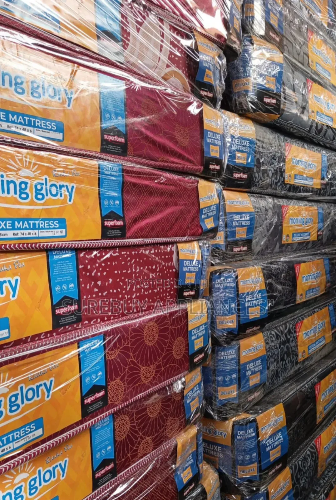 Morning Glory41/2by6 6 Inches Density Plain Mattress