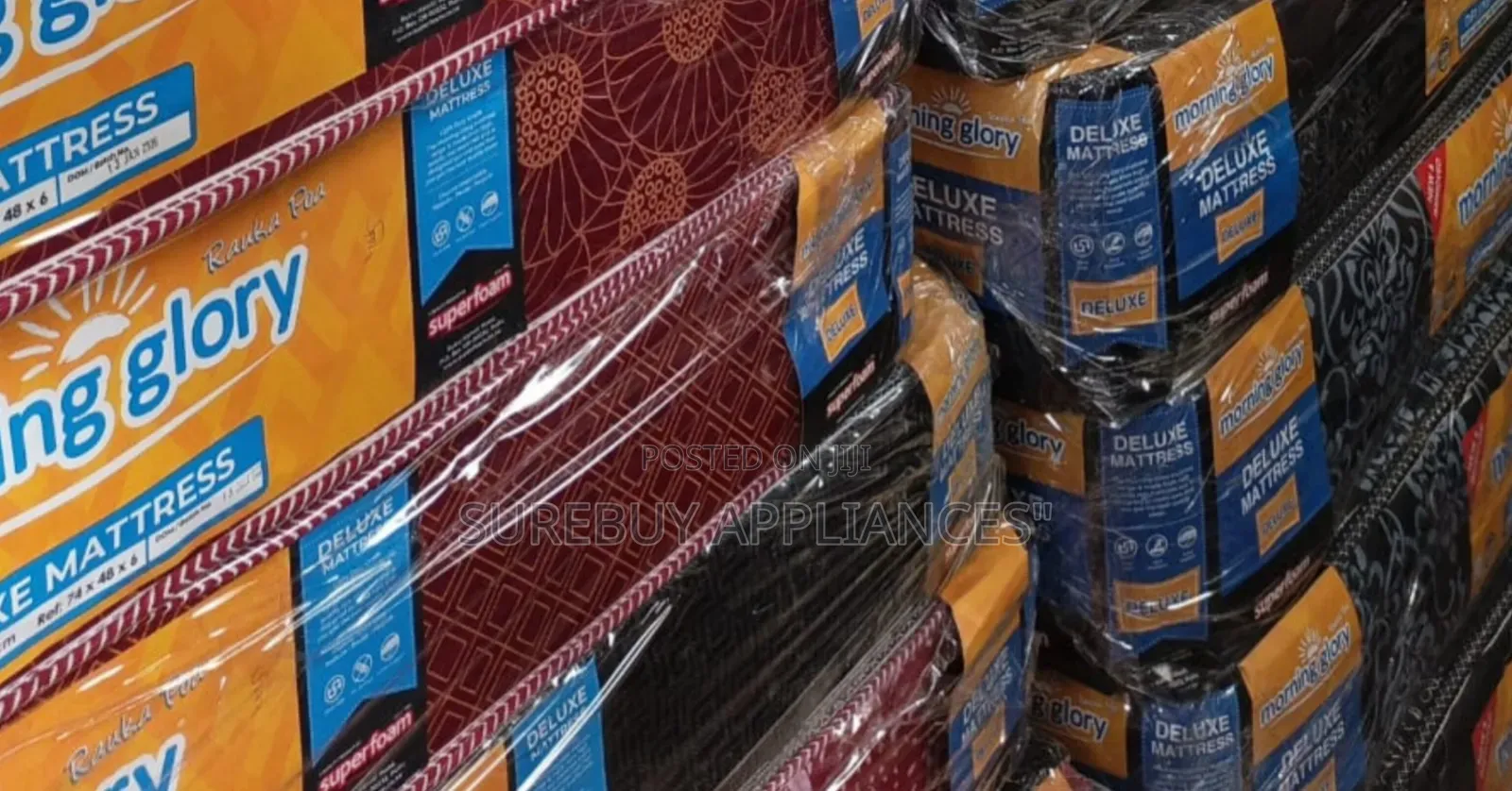 3by6 6inches Plain Morning Glory Mattress