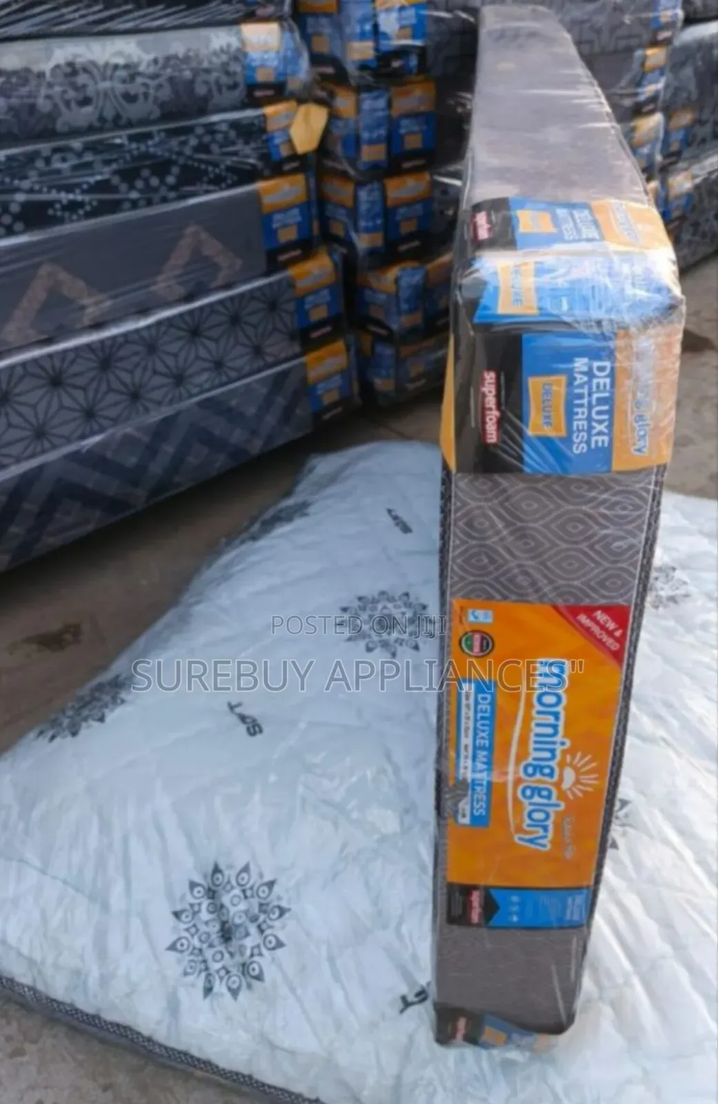 Morning Glory Medium Density 31/2 by 6 6 Inches Plain Mattress