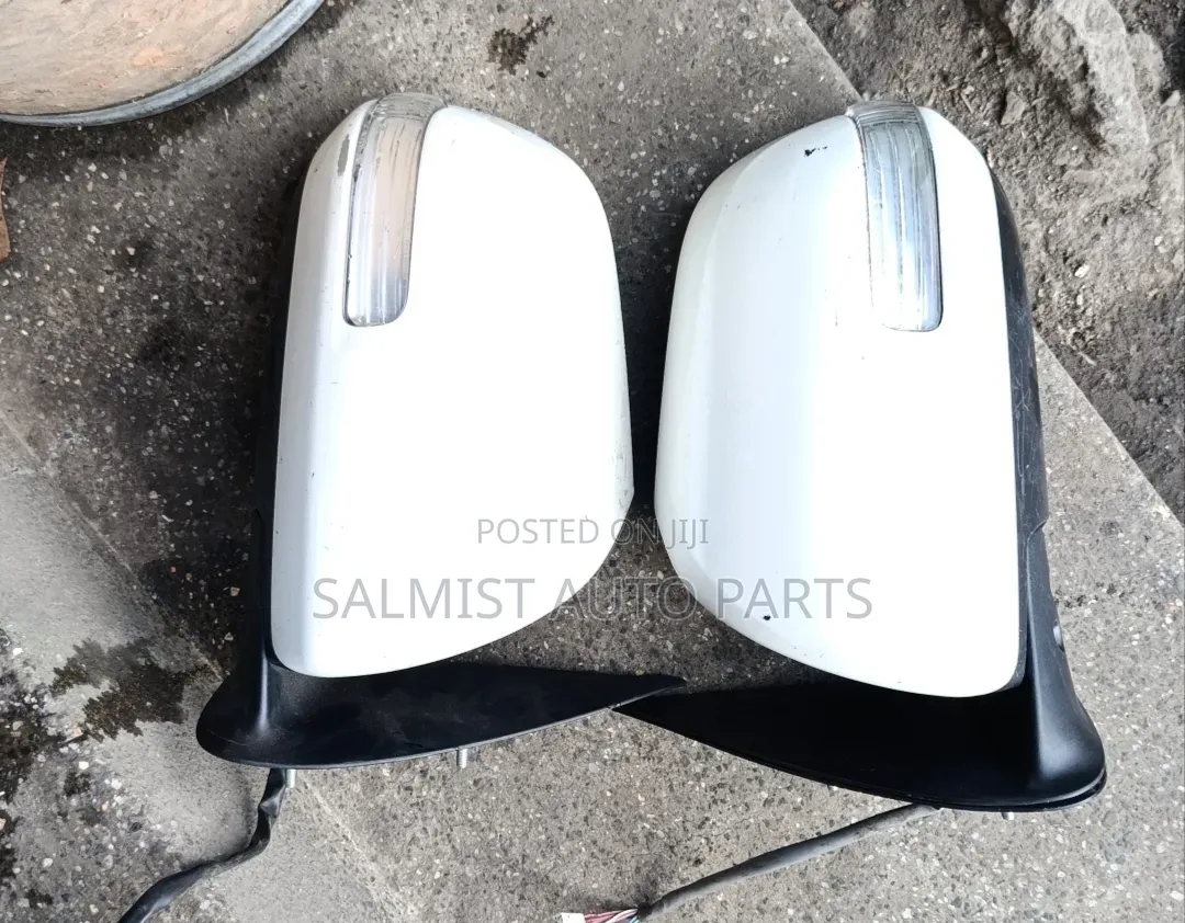 Toyota Fortuner 2010 Sidemirror