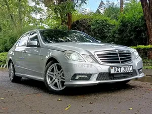 Mercedes-Benz E250 2011 Silver