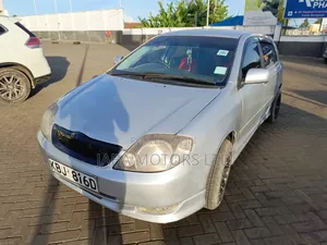 Toyota Allex 2003 Silver