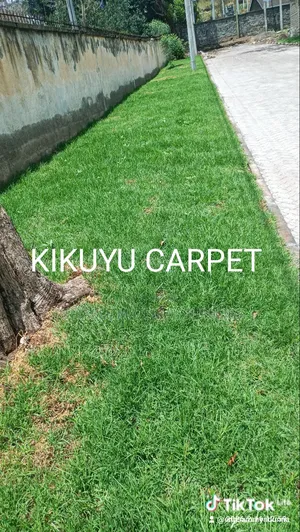 Natural Grass Carpet