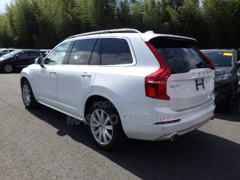 Volvo XC90 2019 Pearl