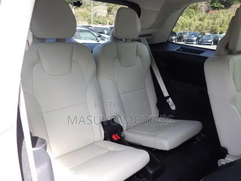 Volvo XC90 2019 Pearl