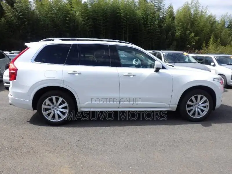 Volvo XC90 2019 Pearl