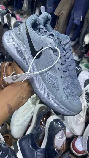 Nike Zoom Pegasus Running Shoes