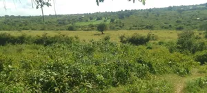 Prime 16 Acre Parcel Of Land For Sale In Kiptoim Mogotio