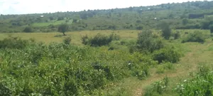 Prime 16 Acre Parcel Of Land For Sale In Kiptoim Mogotio