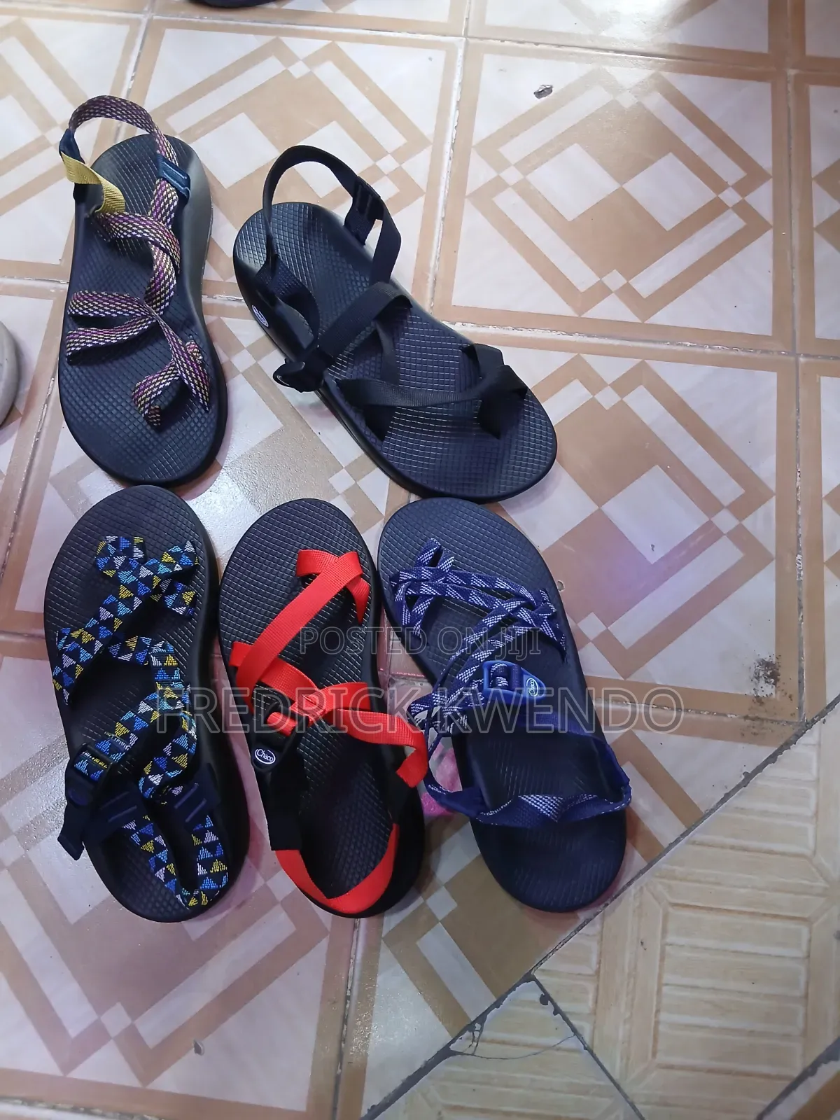 Chacco Slides