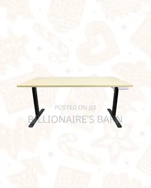 Premium 1600x800mm Electric Standing Desk Ergonomic Workstation
