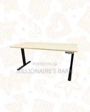 Premium 1600x800mm Electric Standing Desk Ergonomic Workstation