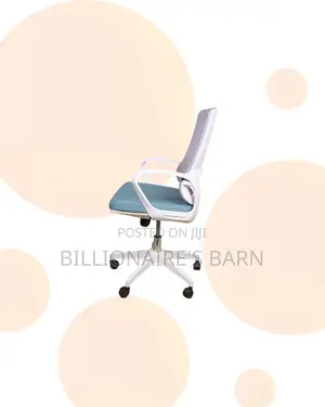 Professional Ergonomic Mesh Office Chair Lumbar Support Now In