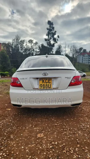 Toyota Mark X 2.5 AWD 2008 White