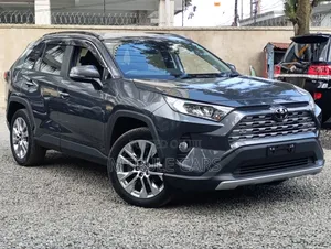 Toyota RAV4 2019 Gray
