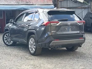 Toyota RAV4 2019 Gray