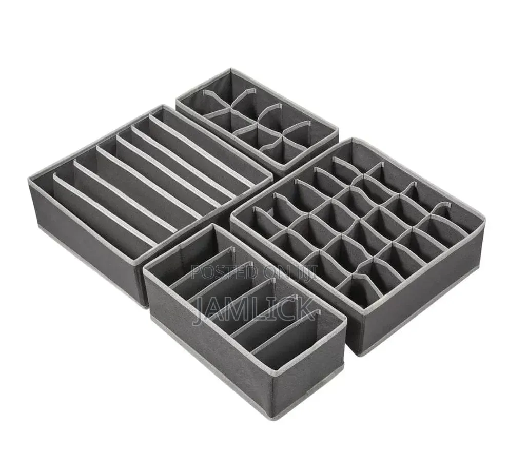 Foldable 4-in-1 Undergarment Organizer Set – Pm