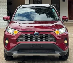 Toyota RAV4 Hybrid 2019 Maroon