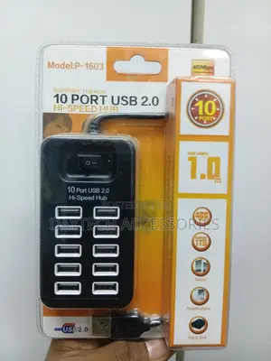 Hi-Speed Hub 10 Port Usb 2.0 Support 1tb HDD P-1603